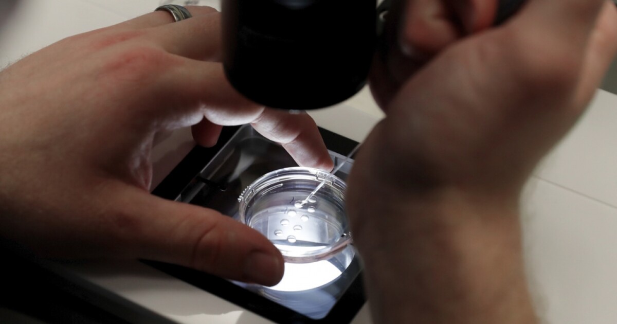 Here's how a new executive order will expand IVF access